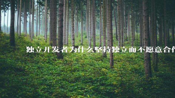 独立开发者为什么坚持独立而不愿意合作？