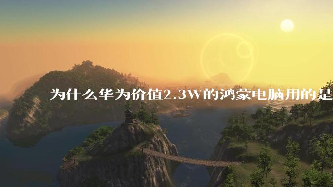 为什么华为价值2.3W的鸿蒙电脑用的是美国西数的SN740固态硬盘？