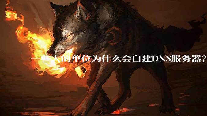一些大的单位为什么会自建DNS服务器？