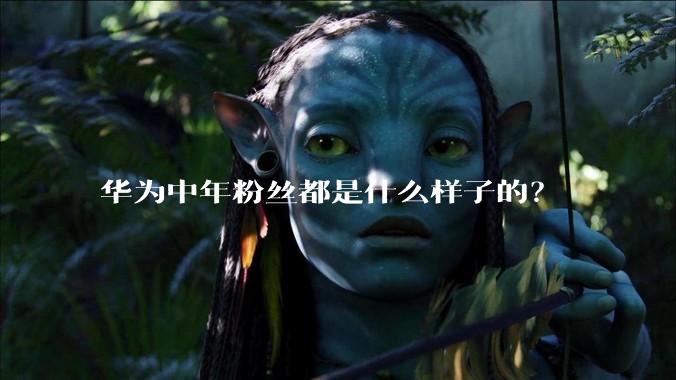 华为中年粉丝都是什么样子的？