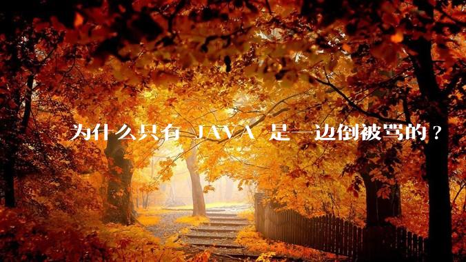 为什么只有 JAVA 是一边倒被骂的?