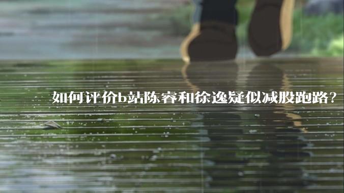 如何评价b站陈睿和徐逸疑似减股跑路？