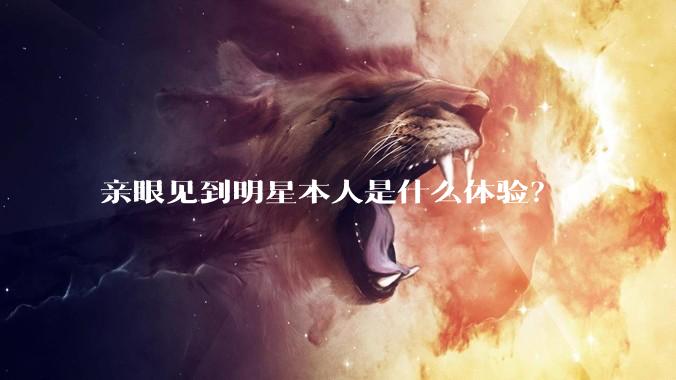 亲眼见到明星本人是什么体验？