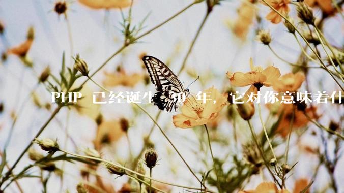 PHP 已经诞生 30 年，它对你意味着什么？