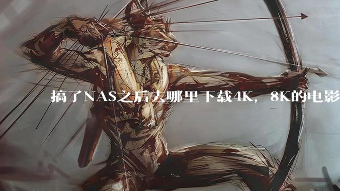 搞了NAS之后去哪里下载4K，8K的电影？