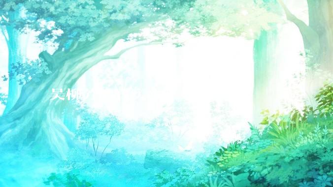 吴柳芳的真实水平如何？