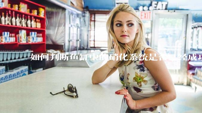 如何判断鱼缸中的硝化系统是否已经成功建立？