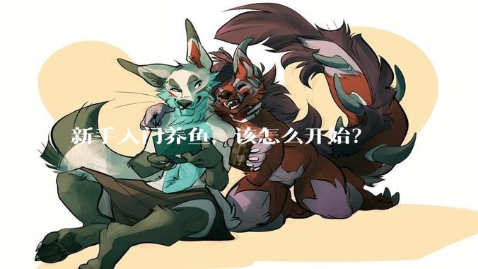 新手入门养鱼，该怎么开始？