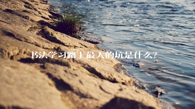 书法学习路上最大的坑是什么？