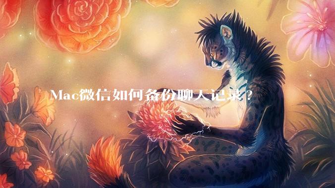 Mac微信如何备份聊天记录?
