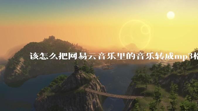该怎么把网易云音乐里的音乐转成mp3格式导出软件？