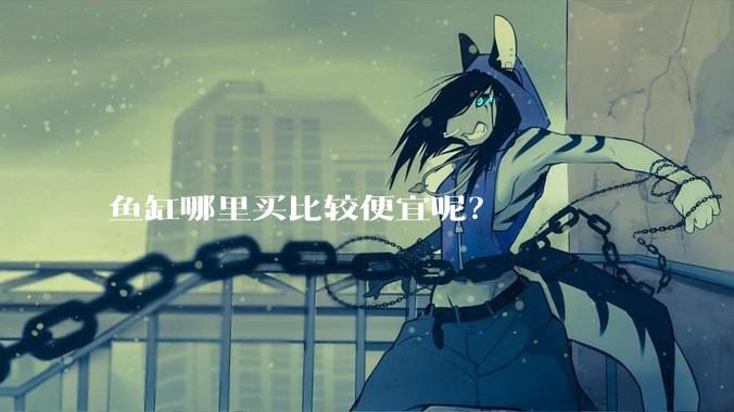 鱼缸哪里买比较便宜呢？