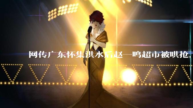 网传广东怀集洪水后赵一鸣超市被哄抢，县***回应相关单位正在核实，若属实哄抢者该承担哪些法律责任？