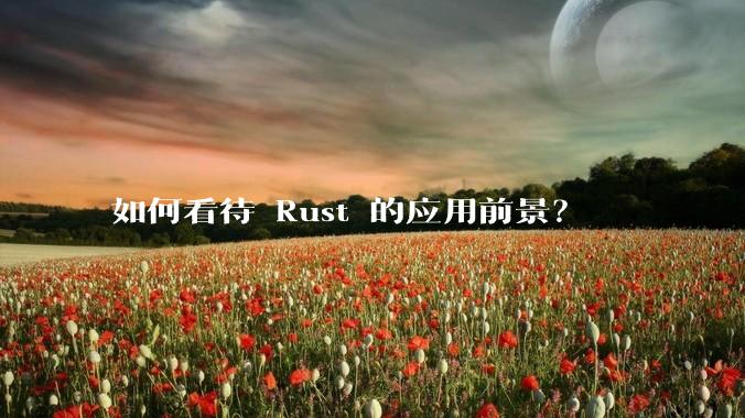 如何看待 Rust 的应用前景？