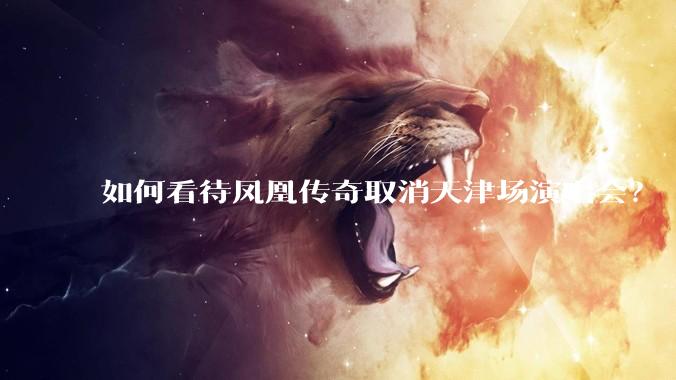 如何看待凤凰传奇取消天津场演唱会？