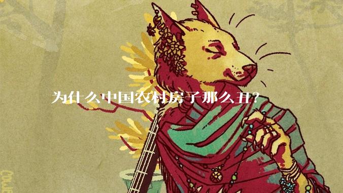 为什么中国农村房子那么丑？
