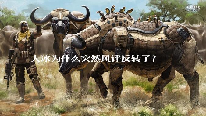 大冰为什么突然风评反转了？