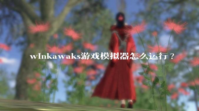 winkawaks游戏模拟器怎么运行?