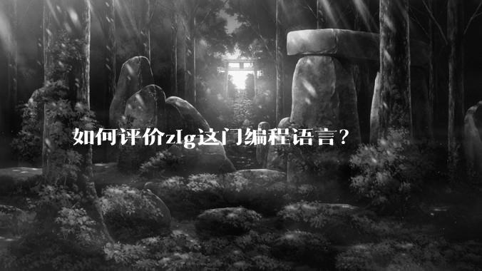 如何评价zig这门编程语言？