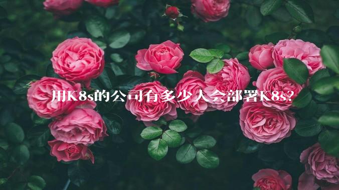 用K8s的公司有多少人会部署K8s？