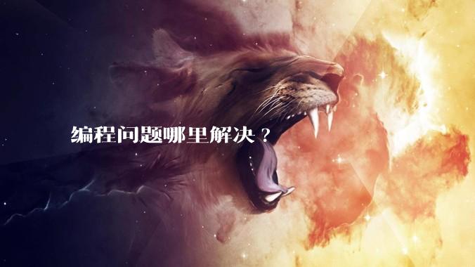 编程问题哪里解决?